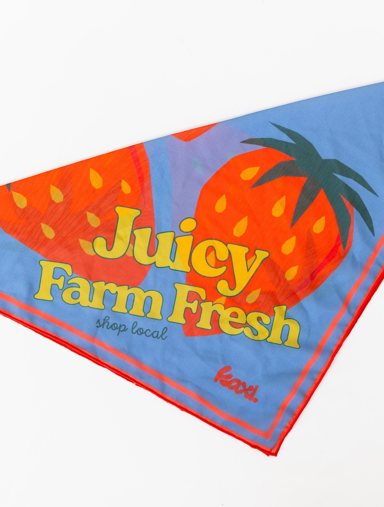 WS - BANDANAS/HAIR SCARVES