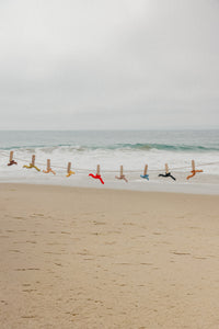 Colorful hold everything claw on a clothesline against a beach and ocean backdrop