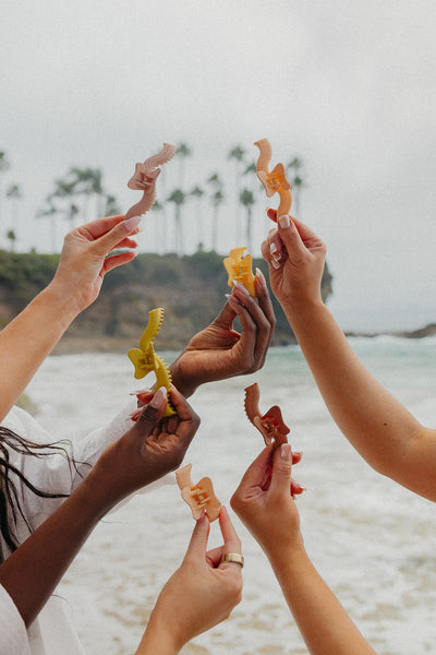 Hands holding colorful claw clips by a beach with palm trees in the background
